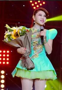 内蒙偶像明星有谁,璀璨星河中的璀璨明珠