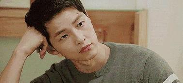 娱乐圈最火的吃瓜网红,揭秘最火网红的瓜田秘闻